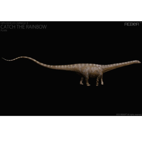 Diplodocus carnegii Catch the Rainbow.