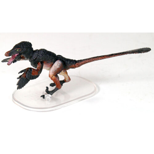 Velociraptor mongoliensis black