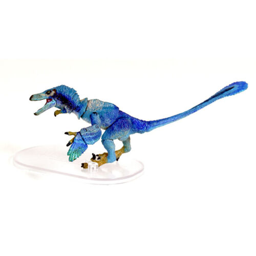 Velociraptor osmolskae blue