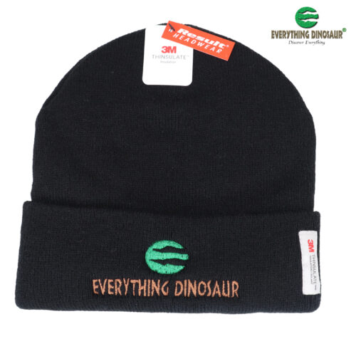 Everything Dinosaur Beanie Hat