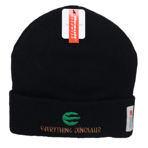 Everything Dinosaur Beanie Hat