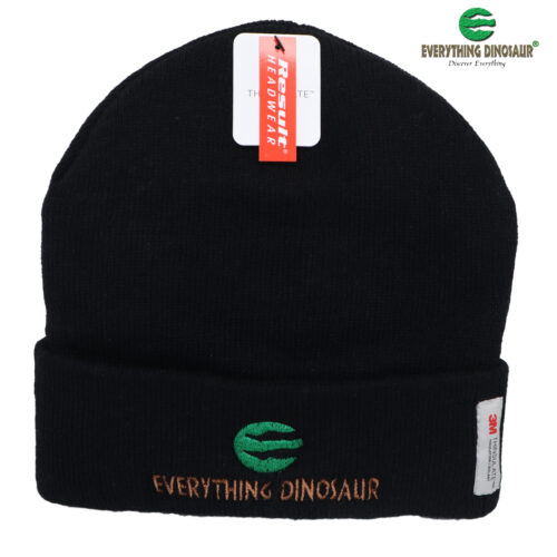 Everything Dinosaur Beanie Hat