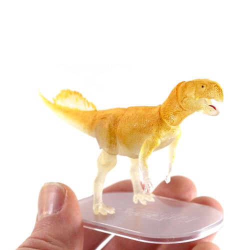 Psittacosaurus held in the hand.