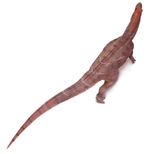 Red Allosaurus (dorsal view).