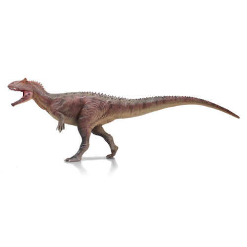 Haolonggood Allosaurus (SuoChao)