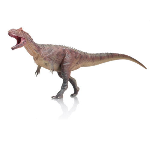 Haolonggood Allosaurus (SuoChao)