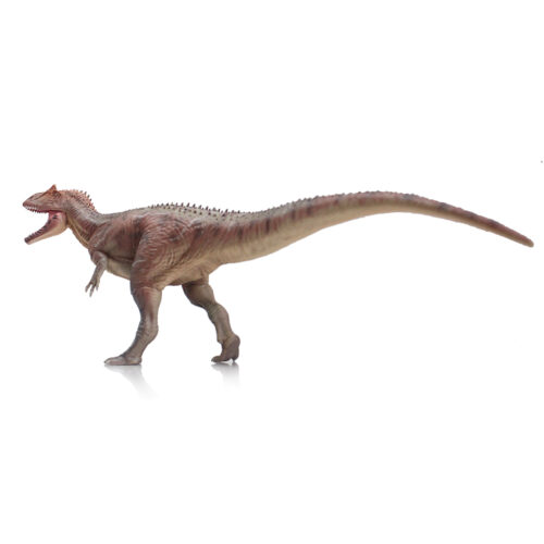 Haolonggood Allosaurus (SuoChao)
