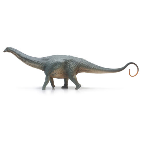 Haolonggood Apatosaurus (HuangXin)