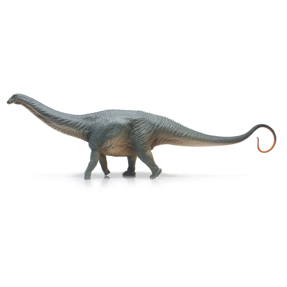 Haolonggood Apatosaurus HuangXin Everything Dinosaur