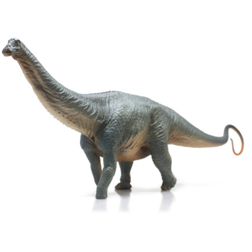 Haolonggood Apatosaurus (HuangXin)