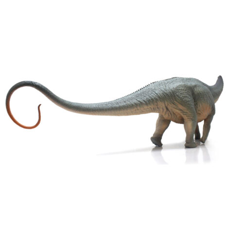 Apatosaurus model in posterior view.