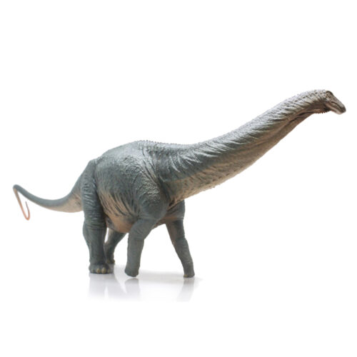 Haolonggood Apatosaurus (HuangXin)