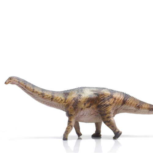 Apatosaurus dinosaur model.