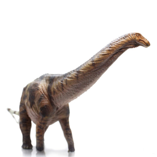 Haolonggood Apatosaurus (ShiJing)