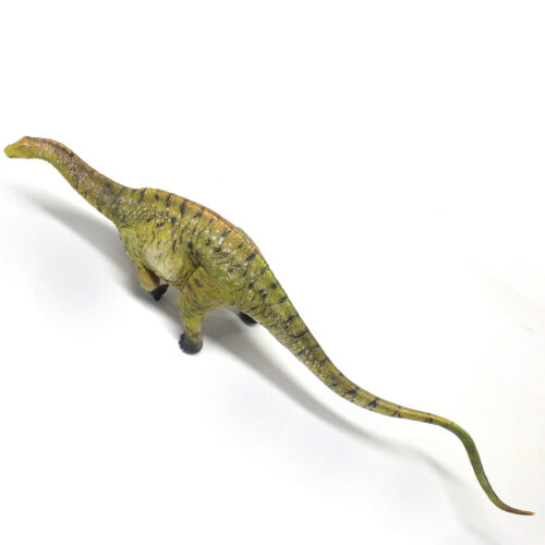 Dicraeosaurus sauropod figure.