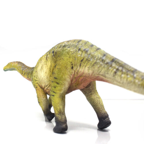 Posterior view of the Dicraeosaurus figure.