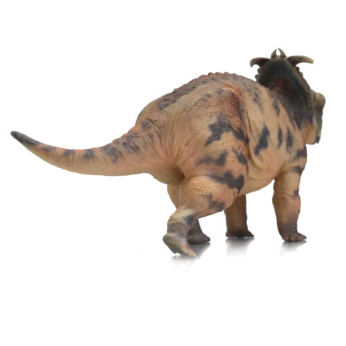 Posterior view of Pachyrhinosaurus model.