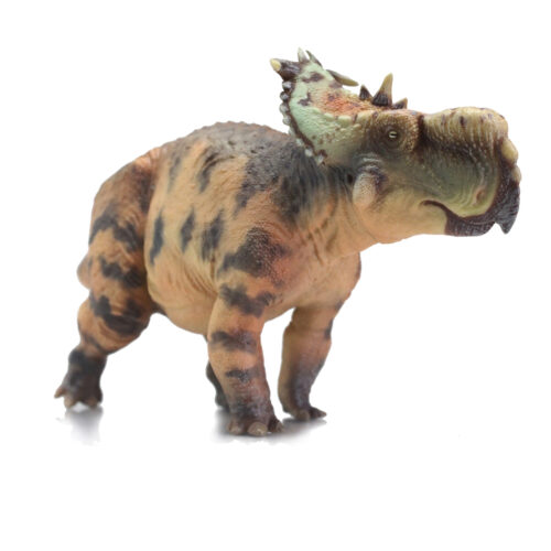 Haolonggood Pachyrhinosaurus (LvFang)