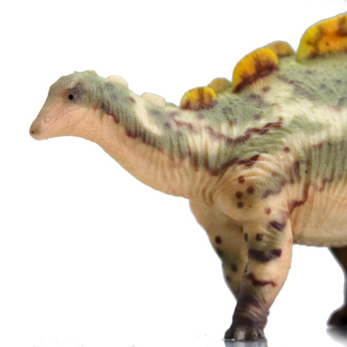 Green Wuerhosaurus model.