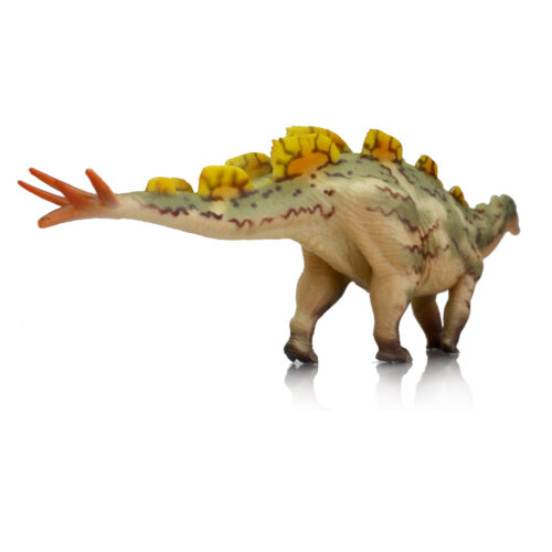 Posterior view of a Wuerhosaurus model.