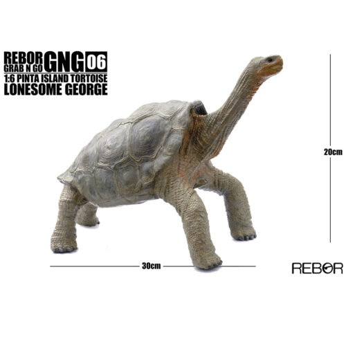 Rebor GNG06 1:6 Pinta Island Tortoise