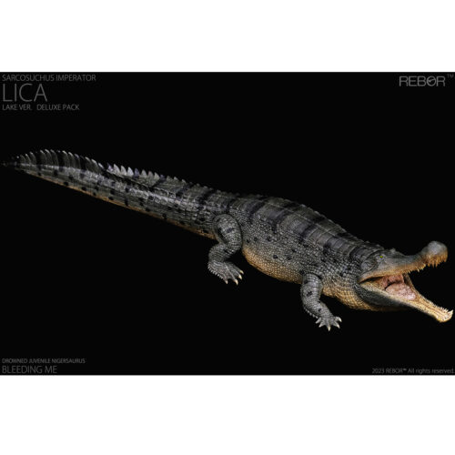 Rebor Sarcosuchus imperator "Lica" River