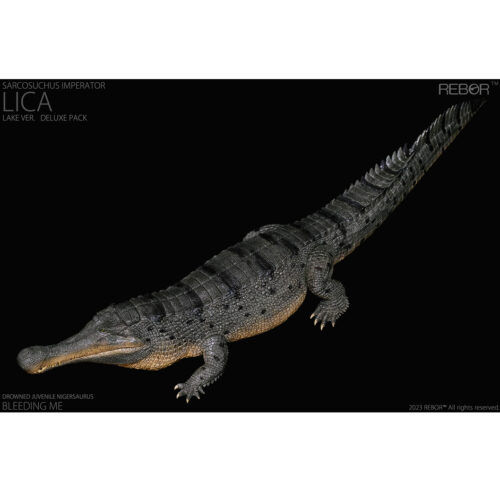 Rebor Sarcosuchus imperator "Lica" River