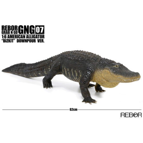 Rebor GNG07 1:6 Alligator "Bizkit" Downpour