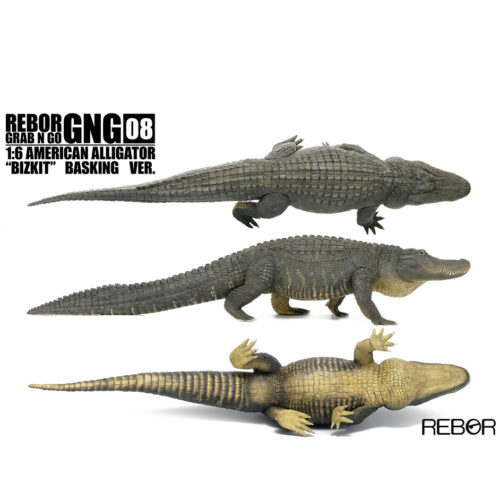 Rebor GNG08 1:6 Alligator "Bizkit" Basking