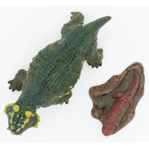 Wild Past models in dorsal view.