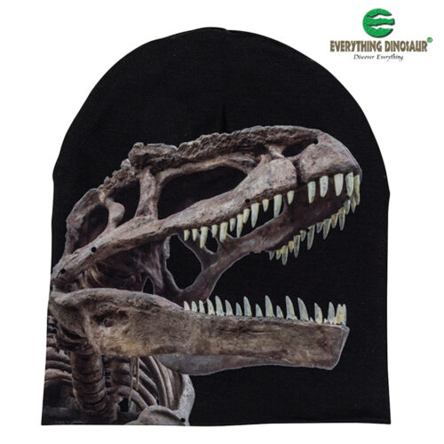 Dinosaur skeleton beanie hat.