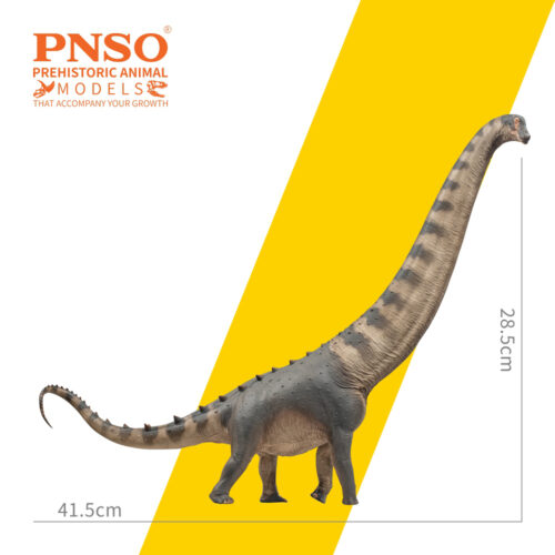 Alamosaurus model measurements.