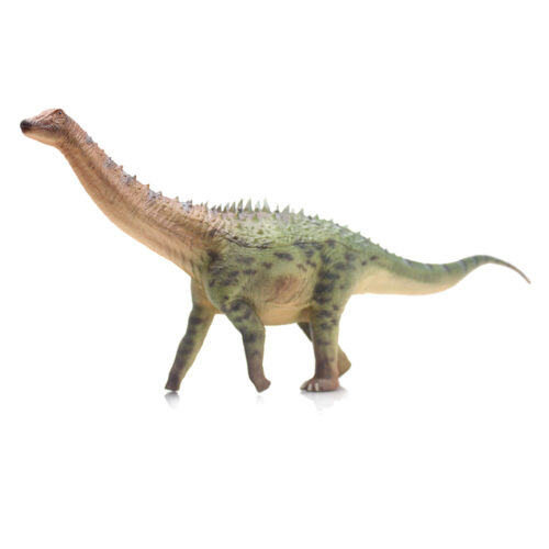 Haolonggood Ampelosaurus (Zhang Qing)