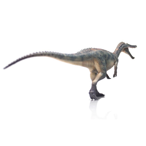 Baryonyx posterior view.