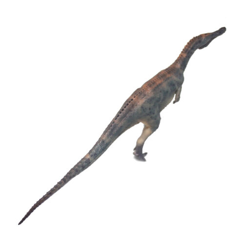 Dorsal view of the Baryonyx figure.