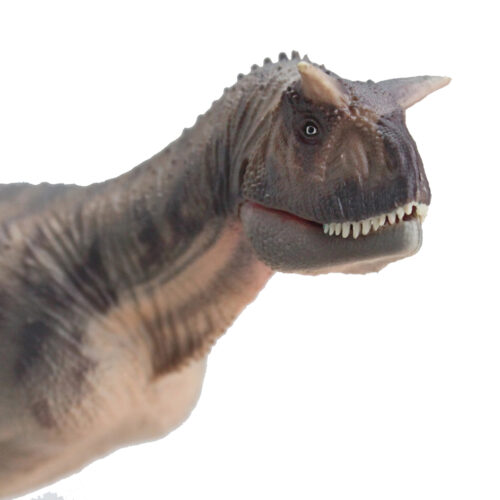 The grey C. sastrei figure has an articulated jaw.