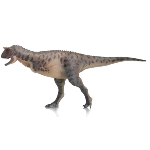 Haolonggood Carnotaurus (Zhou Tong)