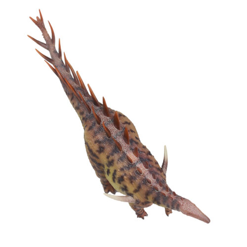Brown Dacentrurus in dorsal view.