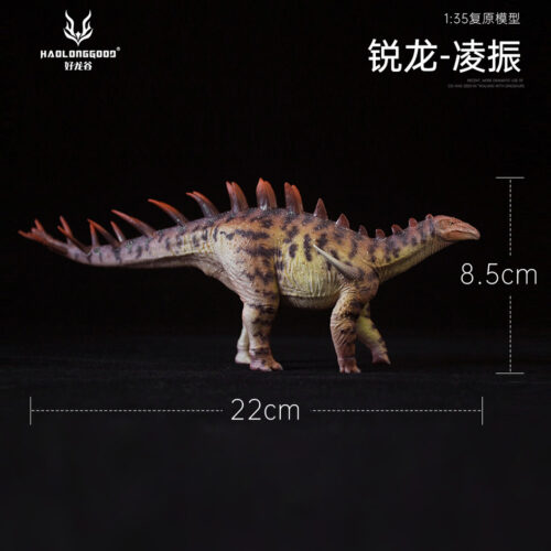 Brown Dacentrurus model measurements.