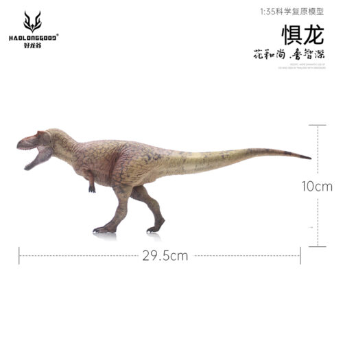 Daspletosaurus model measurements.