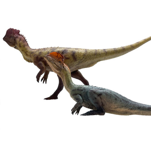 Haolonggood Dilophosaurus (Wang Ying/Hu San Niang)