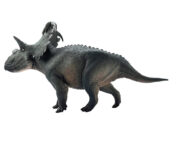 Haolonggood Kosmoceratops (Cai Fu)