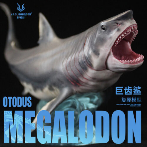 Haolonggood Otodus megalodon