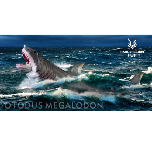 A life reconstruction of the O. megalodon prehistoric shark.