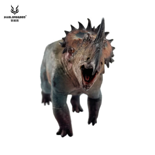 Haolonggood Sinoceratops (Zhu Tong)