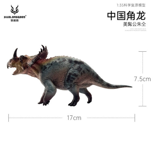 Sinoceratops model measurements.