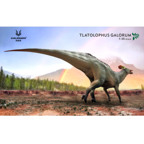Haolonggood Tlatolophus (An Dao Quan)