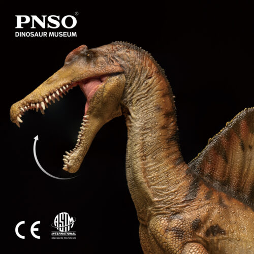 PNSO Aymen the Spinosaurus.