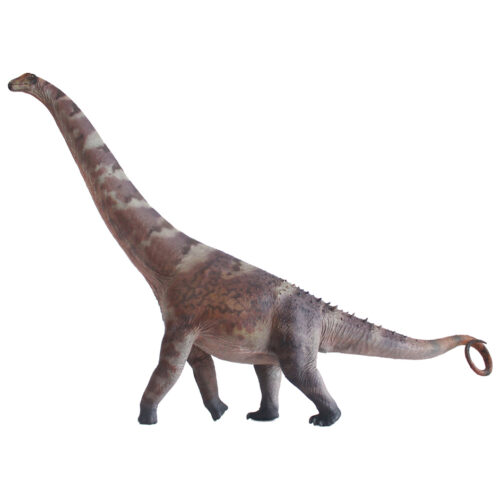 Haolonggood Alamosaurus B (Mu Hong)