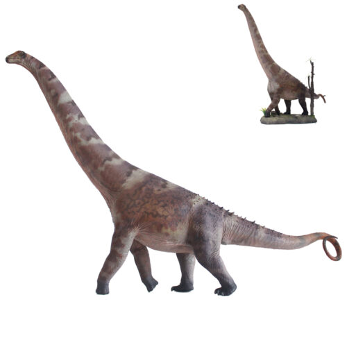 Haolonggood Alamosaurus B (Mu Hong)